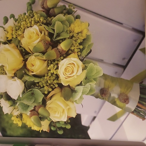 🟢Wedding Book  Michelle Rago - Picture 8 of 12